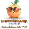 Radio Ambiente